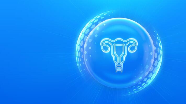 Female healthcare, reproductive services and fertility. Woman health and gynecology concept. Female reproductive system icon inside protection sphere shield with hexagon pattern. illustration.