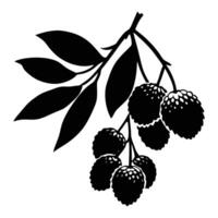 Natural Lychee Tree Outline vector