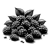 Natural Raspberry Harvest Artwork vector