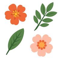 Set of simple flowers and leaves. vector