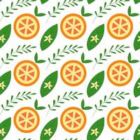 Orange seamless pattern. Summer pattern vector