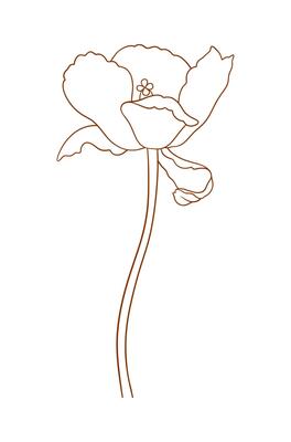 Tulip flower, graceful line, brown color. Beautiful spring decor, minimal style. Drawing element for Easter, Mother Day, Canadian Tulip Festival, illustration