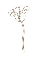 Tulip flower, graceful thin line, brown color. Beautiful spring decor, minimal style. Drawing element for Easter, Mother Day, Canadian Tulip Festival. vector