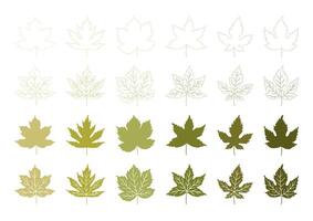 Set of spring or summer maple leaves. Green leaf collection on a white background. Foliage in outline, line art style, textured silhouettes. vector