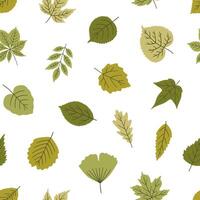 Seamless pattern with leaves on white background, spring or summer leaf of maple, linden, ginkgo, chestnut, and other. Template for textile, package, wrapping paper. Green colors vector