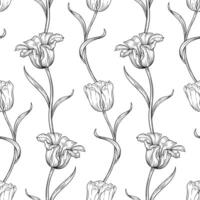 Floral seamless pattern with sketch tulips. Beautiful luxurious flowers with leaves. Vintage decorative wallpaper, template for fashion design. Botanical print on white background vector