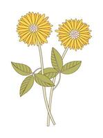 Bunch of two flowers with leaves. Bright bouquet of blooming perennial wild plants. Botanical hand drawn elements for design projects vector