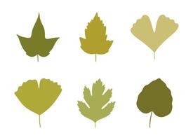 Set of silhouette spring leaves in green colors. Summer background, foliage of maple, ginkgo, aspen, and hawthorn, isolated on white. Leaf icons vector