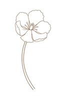 Tulip, graceful thin line, brown color. Beautiful spring decor, minimal style. Drawing element for Easter, Mother Day, Canadian Tulip Festival, illustration vector