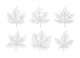 Set of autumn maple leaves. Black silhouettes in line art style on a white background. Fall, spring, or summer collection contour foliage, illustration vector