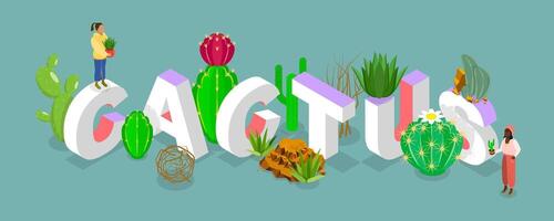 3D Isometric Flat Illustration of Cactus Word Composition, Desert Plants vector