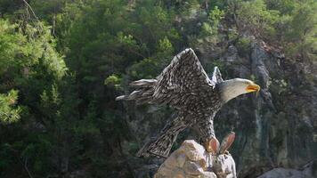 Eagle sculpture with rabbit in mountain forest video