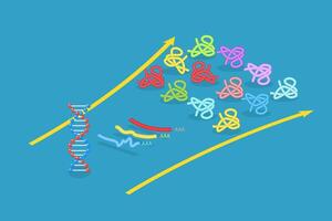3D Isometric Flat Illustration of Proteome Complexity, Proteins Studying vector