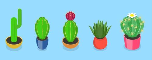 3D Isometric Flat Set of Cactuses, Collection of Houseplants in Flower Pots vector