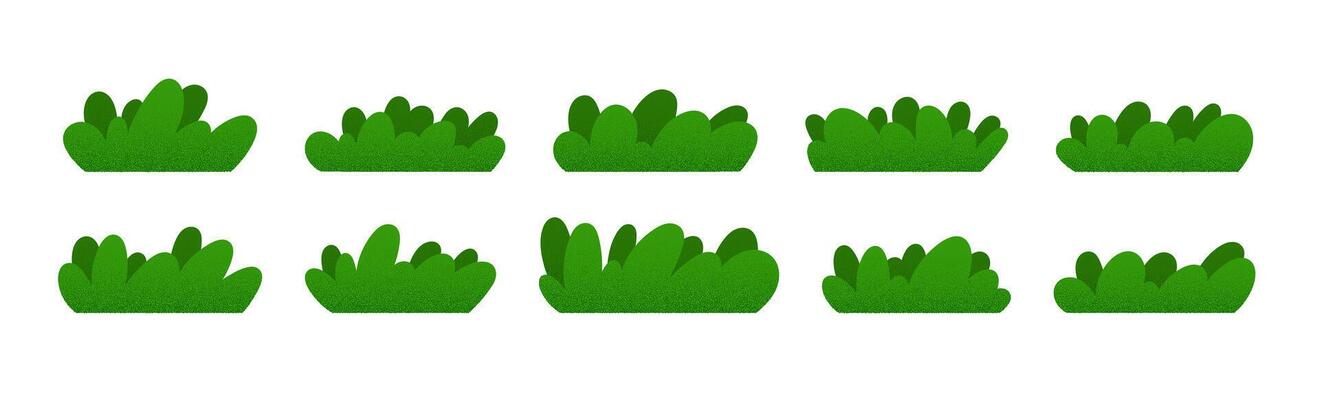 Bush tree shrub park landscape. Flat cartoon plants with green grass background. Flat illustration isolated on white background.