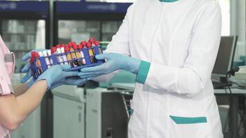 Dedicated medical worker exchanging blood test samples in a high-tech lab video