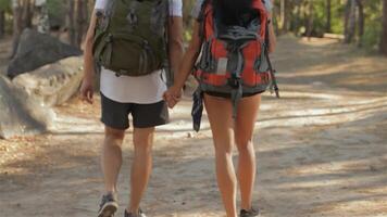 Couple of hikers stroll hand-in-hand along a forest path video