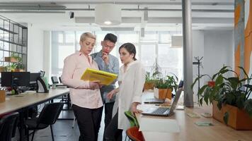 Dynamic business team collaborating on documents in a modern office video