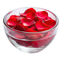 Red rose petals floating randomly in a water filled glass bowl, creating a fragrant and beautiful display. png