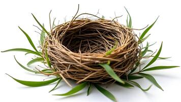 Empty Bird Nest Made of Twigs and Leaves photo