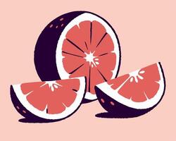Grapefruit slices, pink background vector