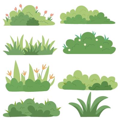 Collection of green bushes and plants with flowers