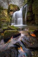 Waterfall over mossy rocks in a peaceful forest photo