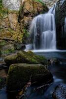 Waterfall cascading over mossy rocks in lush forest photo