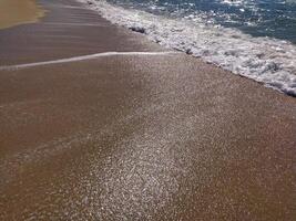 serene beach midday gentle waves lapping the shore and clear blue skies inviting relaxation photo