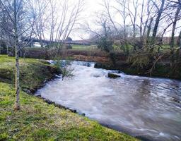 Serene winter river flows swiftly over a small waterfall, nestled amongst leafless trees and lush green banks. A bridge subtly appears in the background, adding depth to the tranquil scene. photo