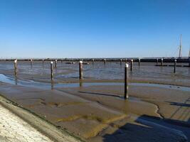 Serene low tide scene at a marina. Mudflats exposed, showcasing wooden pilings and a tranquil harbor setting under a clear blue sky. Ideal for travel, nature, or coastal lifestyle projects. photo