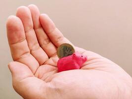 A small, pink piggy bank and euro coin resting in an open hand. Symbolizes saving, finance, investment, and financial security. Illustrates small steps towards big goals. photo