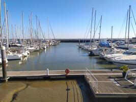 Sundrenched marina scene. Numerous sailboats and yachts are moored in calm waters under a clear blue sky. Perfect for travel, leisure, and nauticalthemed projects. photo