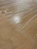 Gentle waves rolling onto sandy beach at sunrise, creating bubbles and shimmering surface photo