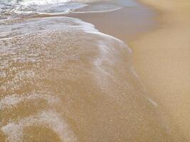 Gentle waves rolling at sunrise, creating bubbles and a shimmering surface photo