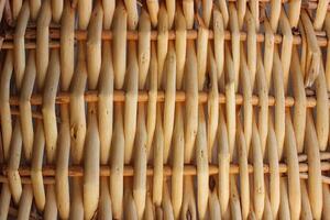 Pattern Of Dried Twigs In Rattan Panel. Wicker Texture Stock Photo For Backgrounds