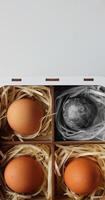 American Continents is Visible on Globe in Black and White Colors and Whole Eggs in Soft Straws in Multi Colors Inside Delivery Box. Food Crysis and Eggs Production photo