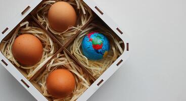 Wood container with globe model and whole eggs carefully wrapped in soft shavings inside individual compartments with copy space. Global food market and food trading concept photo