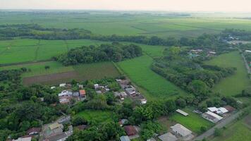 Aerial drone view of rural villages surrounded by fertile plowed fields and cultivated farmland in scenic countryside video