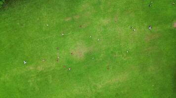 Aerial Drone View of Soccer Match on Green Field video