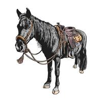 Elegant grey horse with riding equipment, isolated on a white background vector