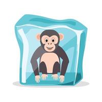 Chimpanzee in the ice cube vector