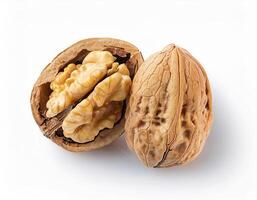 Two Walnuts One Shelled Showing the Kernel and One Whole Nut Isolated on White Background photo