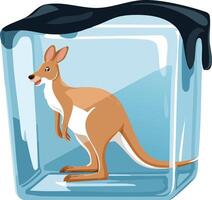 Kangaroo in the ice cube vector