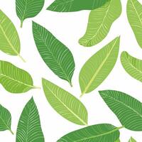 Seamless pattern Banana Leaves vector