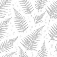 Minimalist Line Art Ferns seamless pattern vector