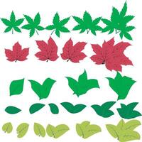 A colorful set of various leaf types and shapes, including tropical, autumn, and botanical styles. Ideal for nature, seasonal, or decorative design projects. vector
