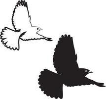 Black and white of a flying bird silhouette. vector