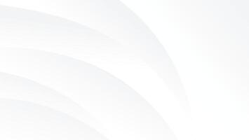 abstract white background with modern graphic curve lines vector
