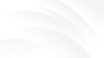 abstract white luxury background with graphic curve lines vector